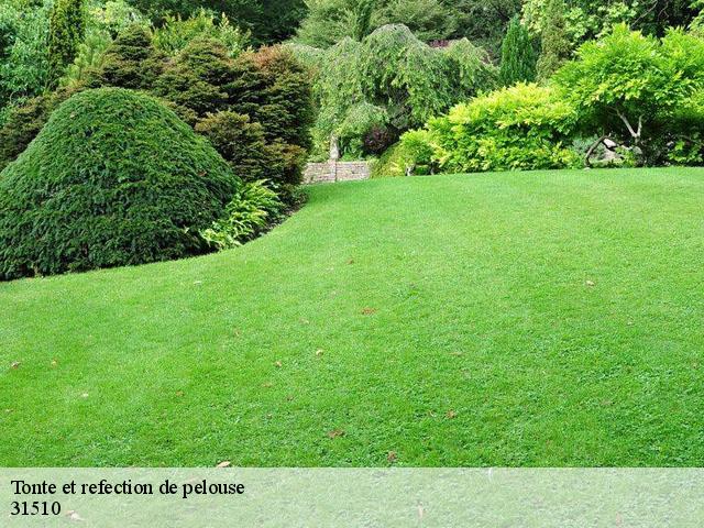 Tonte et refection de pelouse 31510