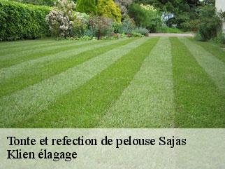 tonte-et-refection-de-pelouse