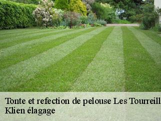 tonte-et-refection-de-pelouse