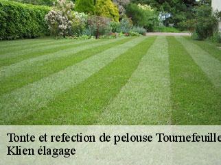 tonte-et-refection-de-pelouse