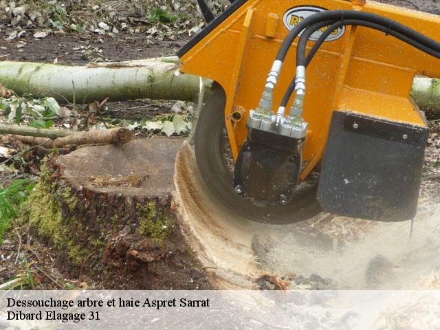 Dessouchage arbre et haie  aspret-sarrat-31800 Dibard Elagage 31