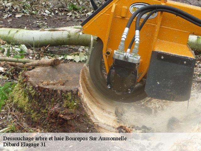 Dessouchage arbre et haie  bonrepos-sur-aussonnelle-31470 Dibard Elagage 31