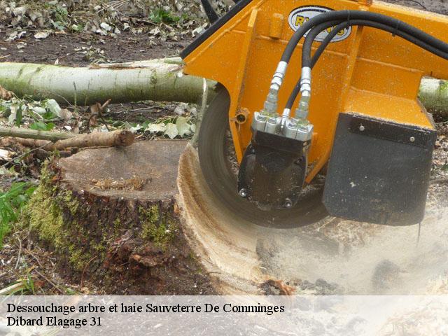 Dessouchage arbre et haie sauveterre-de-comminges-31510 Dibard Elagage 31