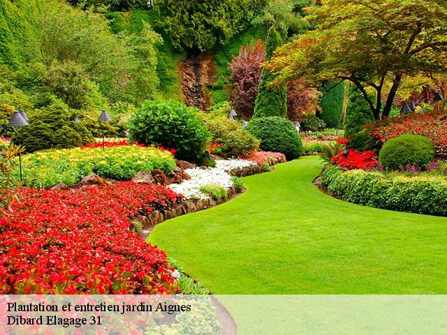 Plantation et entretien jardin  aignes-31550 Dibard Elagage 31