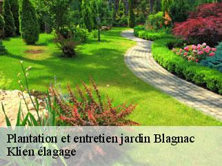 plantation-et-entretien-jardin