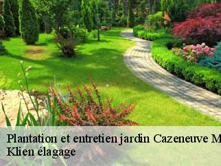 plantation-et-entretien-jardin