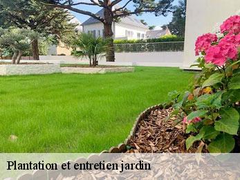 plantation-et-entretien-jardin