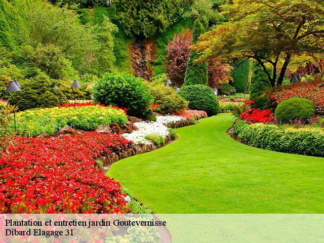 Plantation et entretien jardin goutevernisse-31310 Dibard Elagage 31