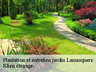 plantation-et-entretien-jardin