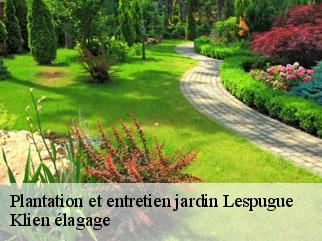 plantation-et-entretien-jardin