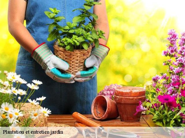 Entretien de jardin à Mirepoix Sur Tarn tél: 05.33.06.18.82