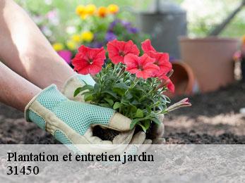 plantation-et-entretien-jardin