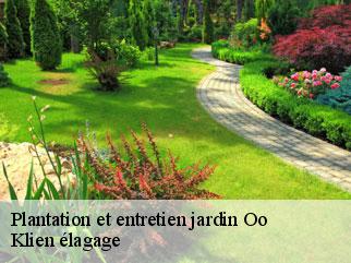 plantation-et-entretien-jardin