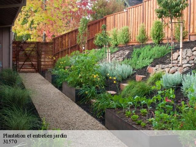 Plantation et entretien jardin 31570