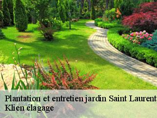 plantation-et-entretien-jardin