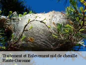 traitement-et-enlevement-nid-de-chenille