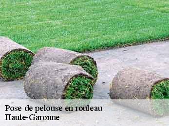 pose-de-pelouse-en-rouleau