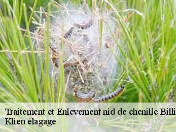 traitement-et-enlevement-nid-de-chenille