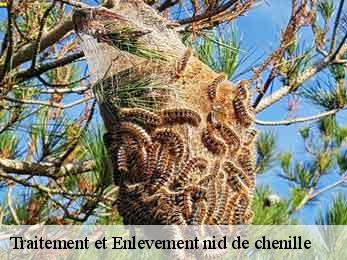 traitement-et-enlevement-nid-de-chenille