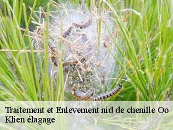 traitement-et-enlevement-nid-de-chenille
