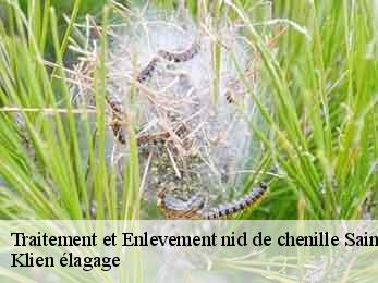 traitement-et-enlevement-nid-de-chenille