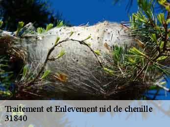 traitement-et-enlevement-nid-de-chenille