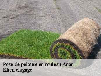 pose-de-pelouse-en-rouleau