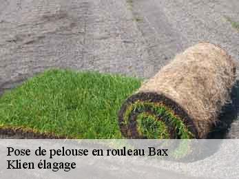 pose-de-pelouse-en-rouleau