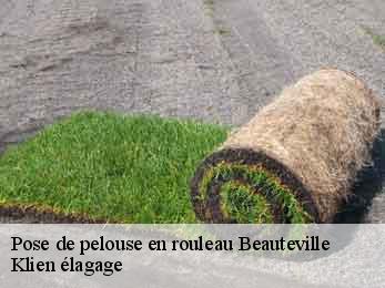 pose-de-pelouse-en-rouleau