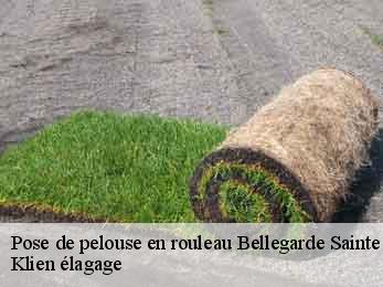 pose-de-pelouse-en-rouleau