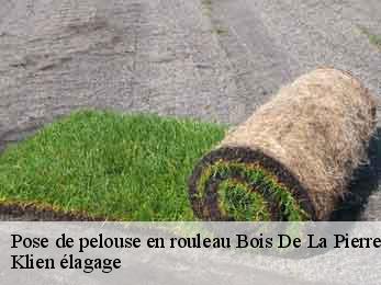 pose-de-pelouse-en-rouleau