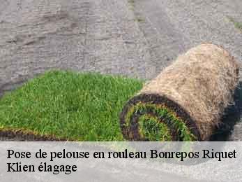 pose-de-pelouse-en-rouleau