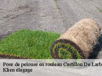 pose-de-pelouse-en-rouleau