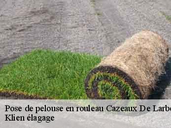 pose-de-pelouse-en-rouleau