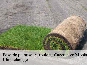 pose-de-pelouse-en-rouleau