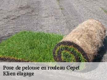 pose-de-pelouse-en-rouleau