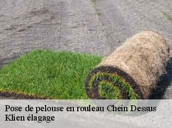 pose-de-pelouse-en-rouleau