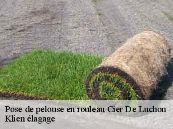 pose-de-pelouse-en-rouleau