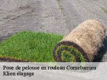 pose-de-pelouse-en-rouleau