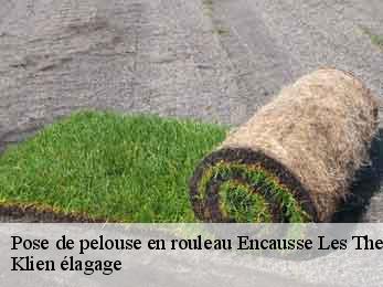 pose-de-pelouse-en-rouleau