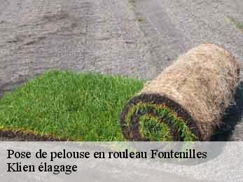 pose-de-pelouse-en-rouleau