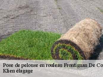 pose-de-pelouse-en-rouleau