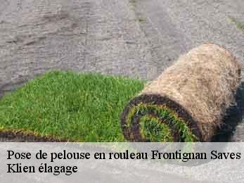 pose-de-pelouse-en-rouleau