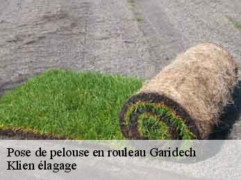 pose-de-pelouse-en-rouleau