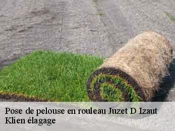 pose-de-pelouse-en-rouleau