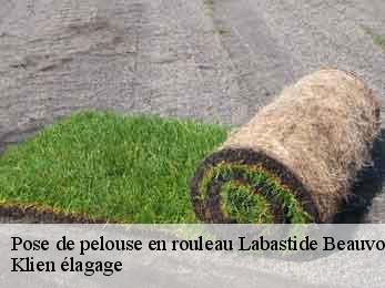 pose-de-pelouse-en-rouleau