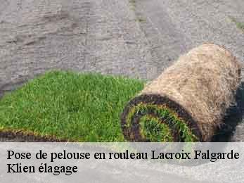 pose-de-pelouse-en-rouleau