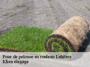 pose-de-pelouse-en-rouleau