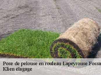 pose-de-pelouse-en-rouleau