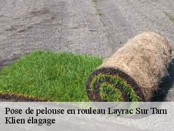 pose-de-pelouse-en-rouleau